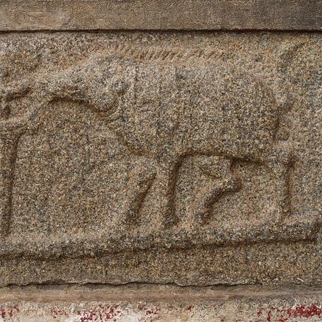 Varhara - Royal Emblem of Vijayanagaraa