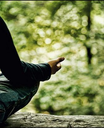 A person meditating on a rocky terrain in a forest - Brewery Gluch Inn & Spa