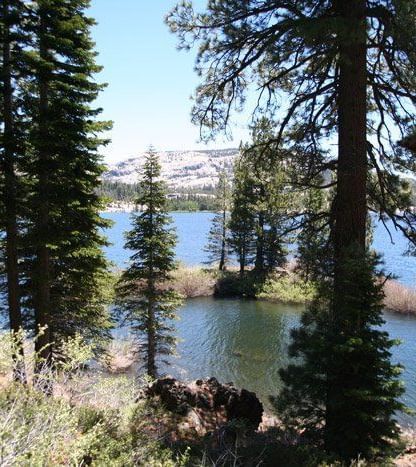 A serene lake view framed by lush pine trees, with a distant mountain range under a clear sky. - Kit Carson Lodge & Restaurant 