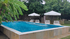 Elevated swimming pool surrounded by banana trees, white lounge chairs, and umbrellas in a lush garden setting at Ram Pratap Palace, Udaipur.