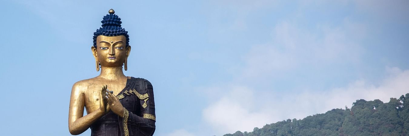 Large golden Buddha statue seated in meditation pose with forested hills in peaceful background
