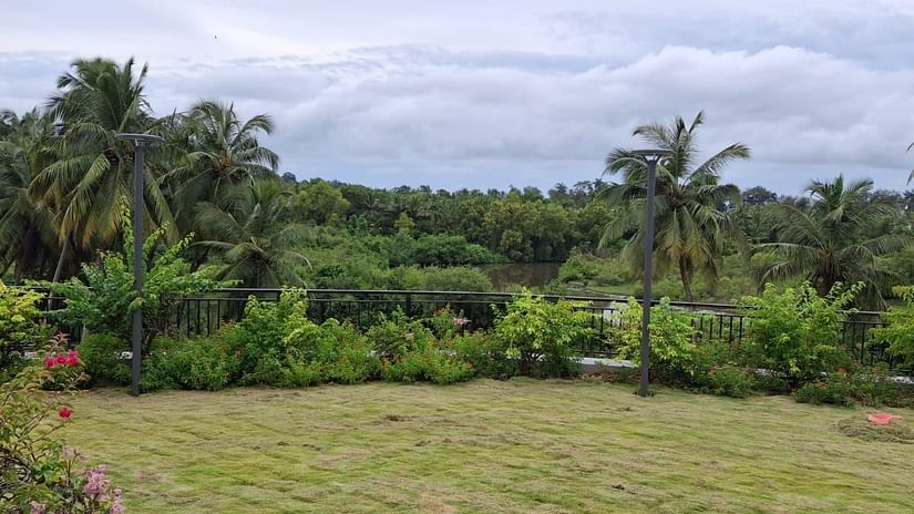 A lush outdoor common area at Cloud9 Sarovar Premiere, Goa, featuring vibrant plants and trees, creating a relaxing atmosphere perfect for unwinding and enjoying the surroundings