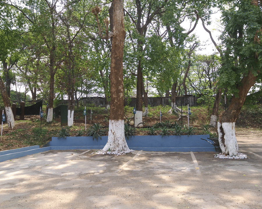 An outdoor parking area surrounded by trees and blue painted curbs inside the hotel premises.