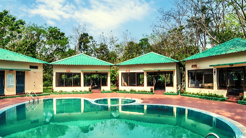 Scenic view of private cottages surrounding a central swimming pool, offering a peaceful forest retreat experience at Waxpol Hotels & Resorts.