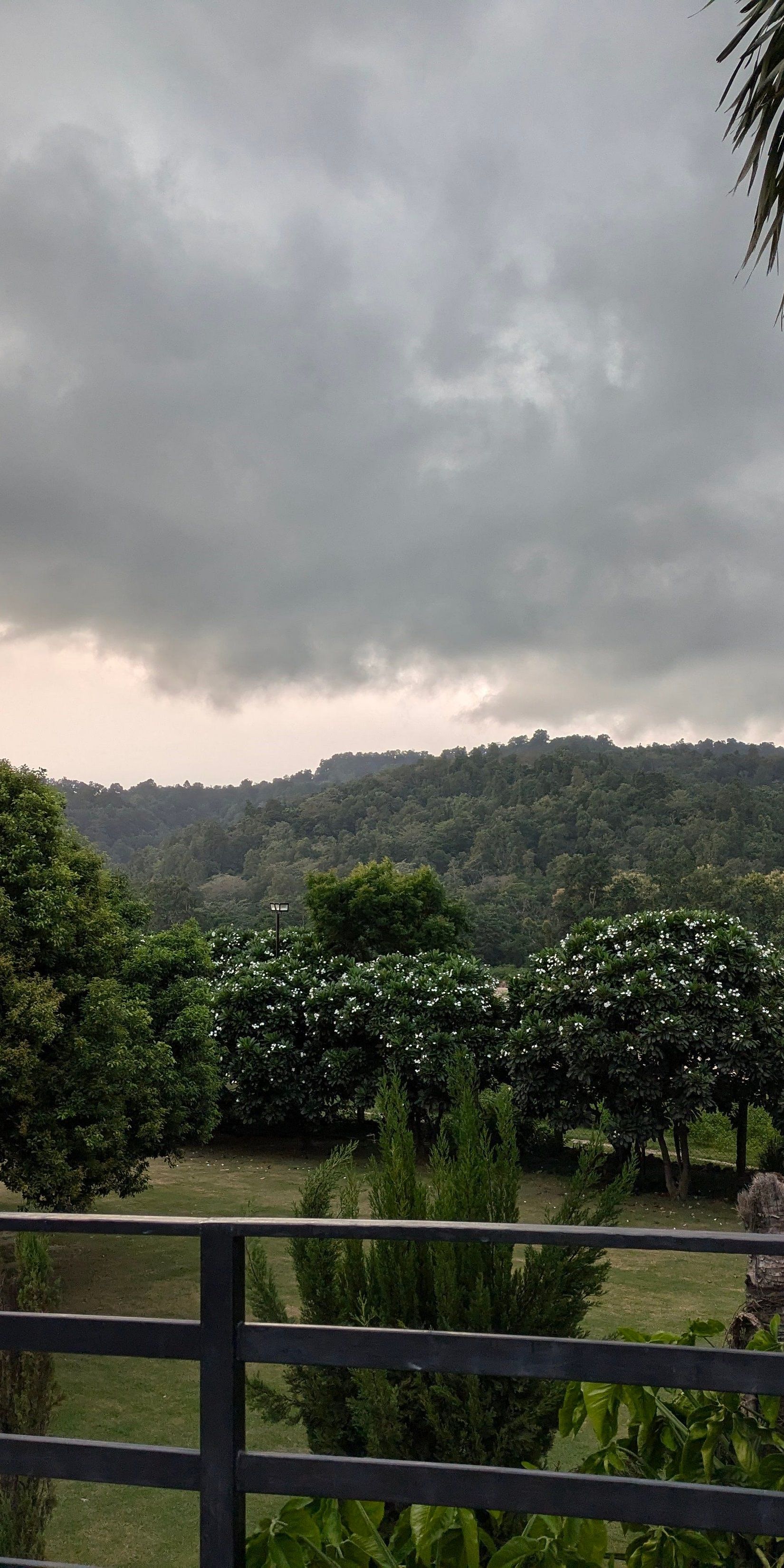 rainy season