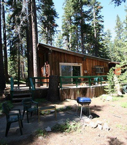 A rustic wooden cabin with a slanted roof sits nestled among tall pine trees. - Kit Carson Lodge