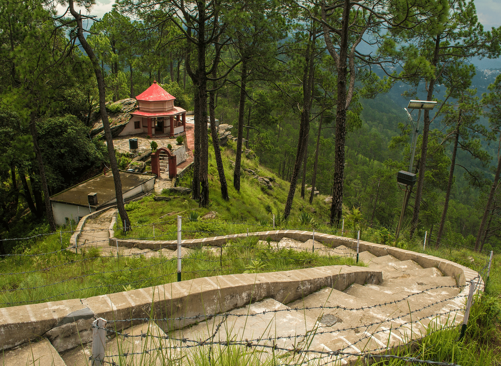 The serene pathway leading to Kasardevi Temple, surrounded by towering pine trees and breathtaking forest views. - Blusalzz Homes The Himalayan Bungalow, Almora