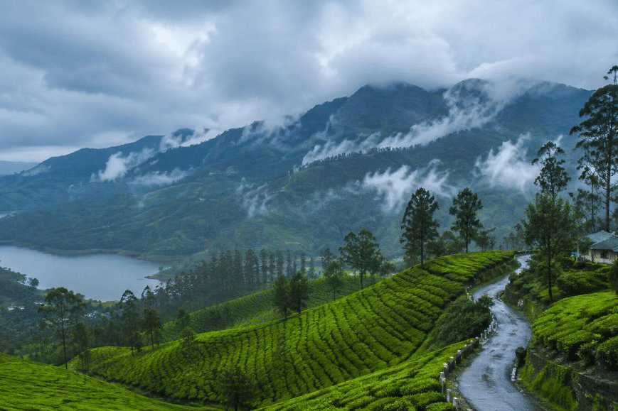 monsoon in munnar