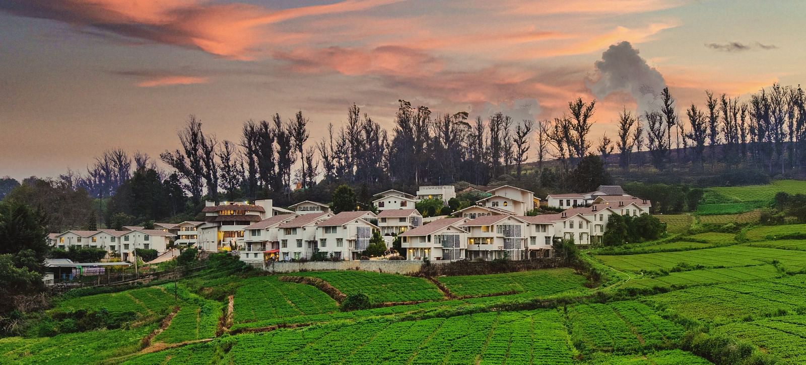 Aerial view of Mango Hill Shola, Ooty, nestled among tea plantations and hills, with the resort blending into the natural landscape.
