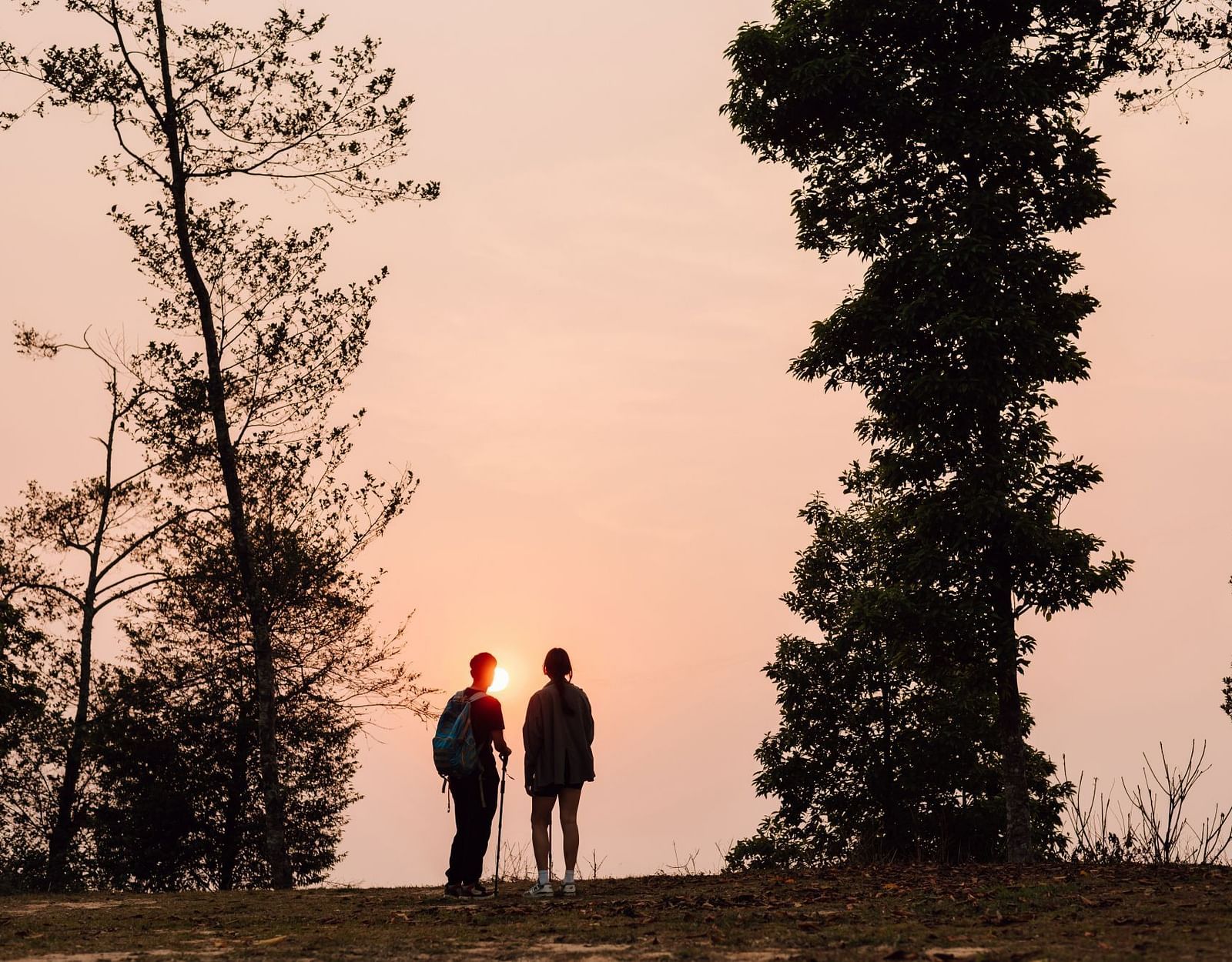 Two hikers silhouetted against a vibrant sunset, standing amidst trees and enjoying the scenic view.