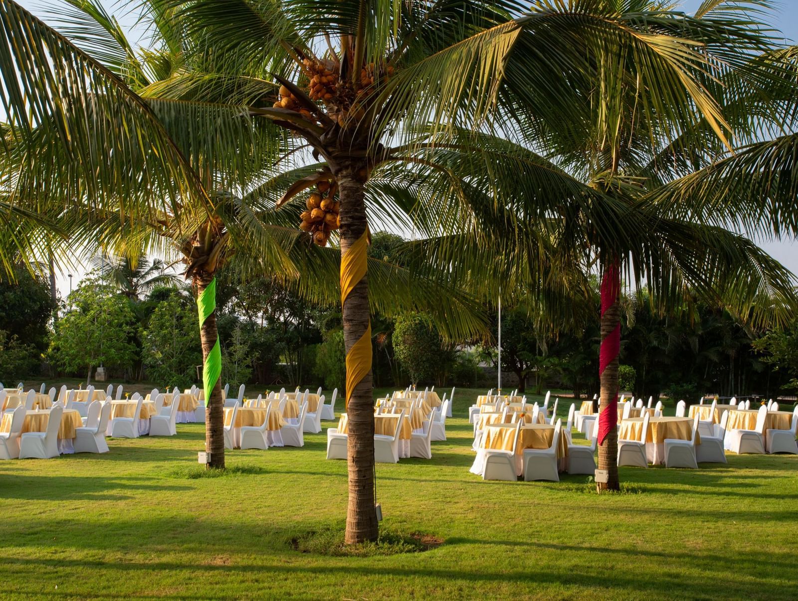 An outdoor event setup on a green lawn with palm trees, featuring white chairs with yellow fabric | Citrus Garden | Grand Bay Resort and Spa