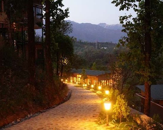 alt-text view from Tree House at The Sal Woods Forest Retreat & Spa