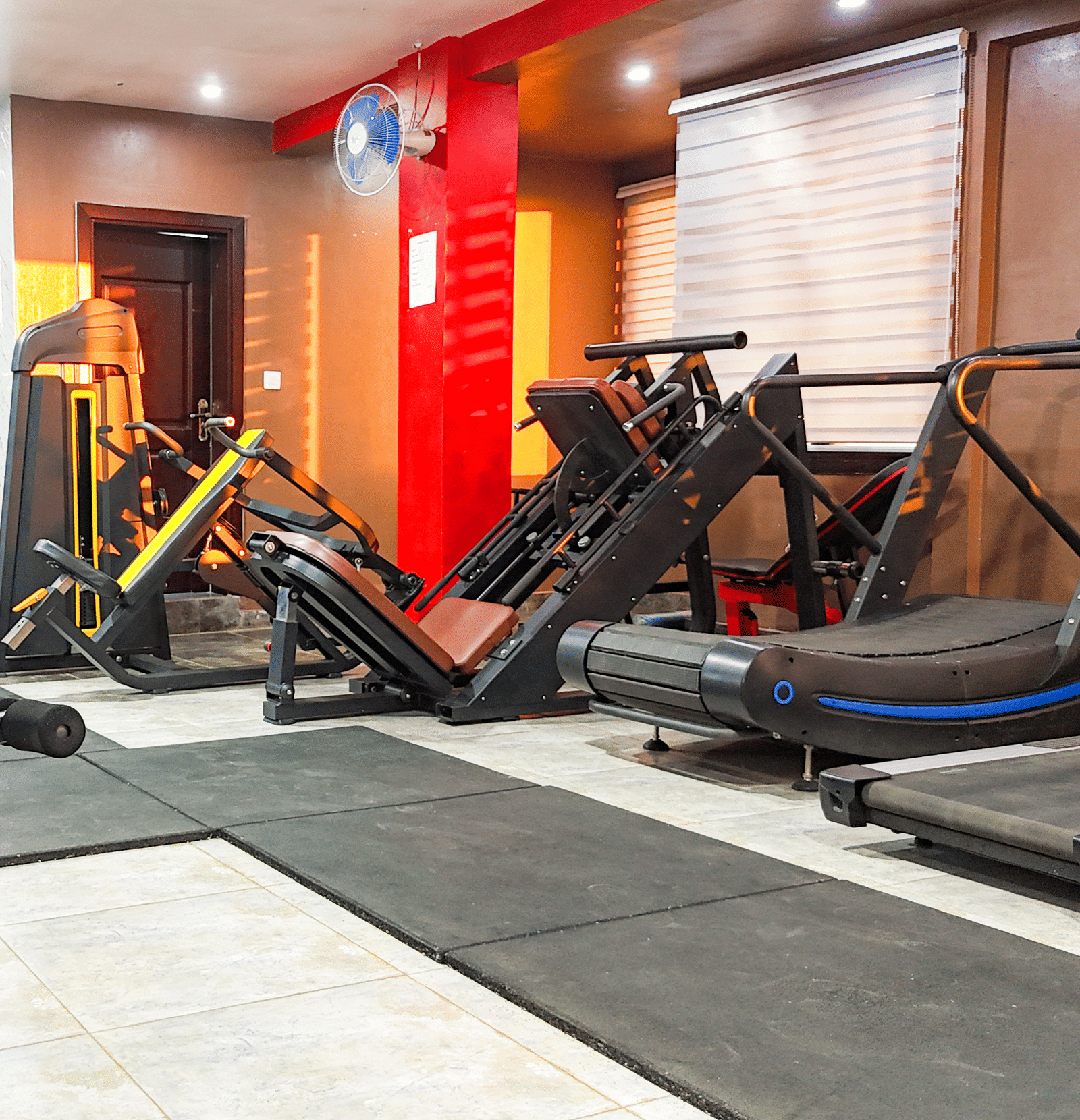 Interior view of a gym with various cardio and weight machines, including a treadmill and cycling machine - Luffu Club
