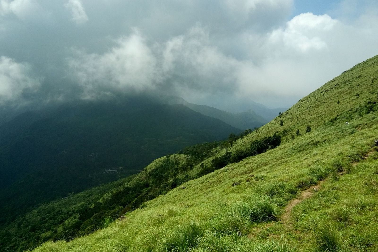 an image of a mountain covered by grass and plants with dark sky background
