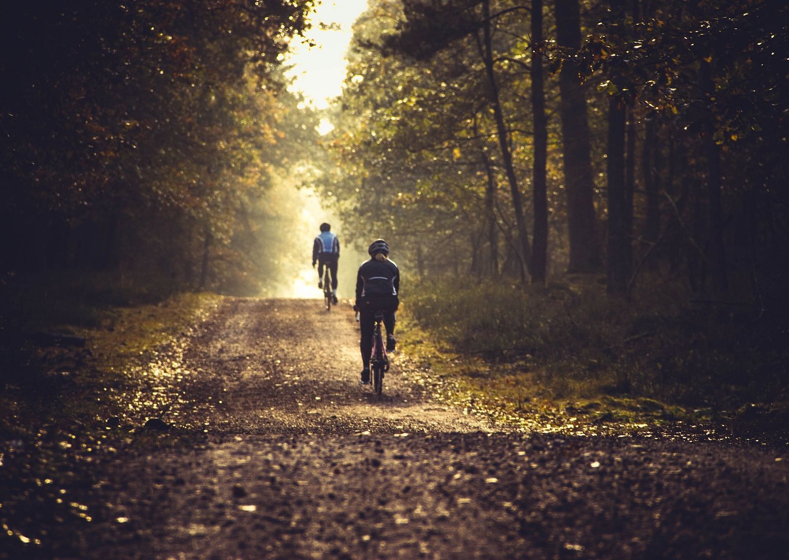Two cyclists riding their bicycle in a path next to many trees.