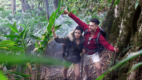 Couples trekking through the lush greenery of Munnar