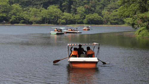 A row boat carrying people navigates a Pookode Lake, Wayanad, surrounded by trees.