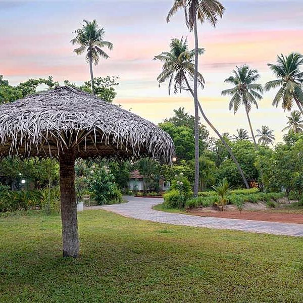 abad-turtle-resort-garden-hut-greenery, Contact Beach Resort in Marari, Beach resorts in Allepey, 4 Star Resorts in Alleppey, Best Beach Resorts in Alleppey, Best Beach Resorts Near Cochin, Beach Resorts in Kerala