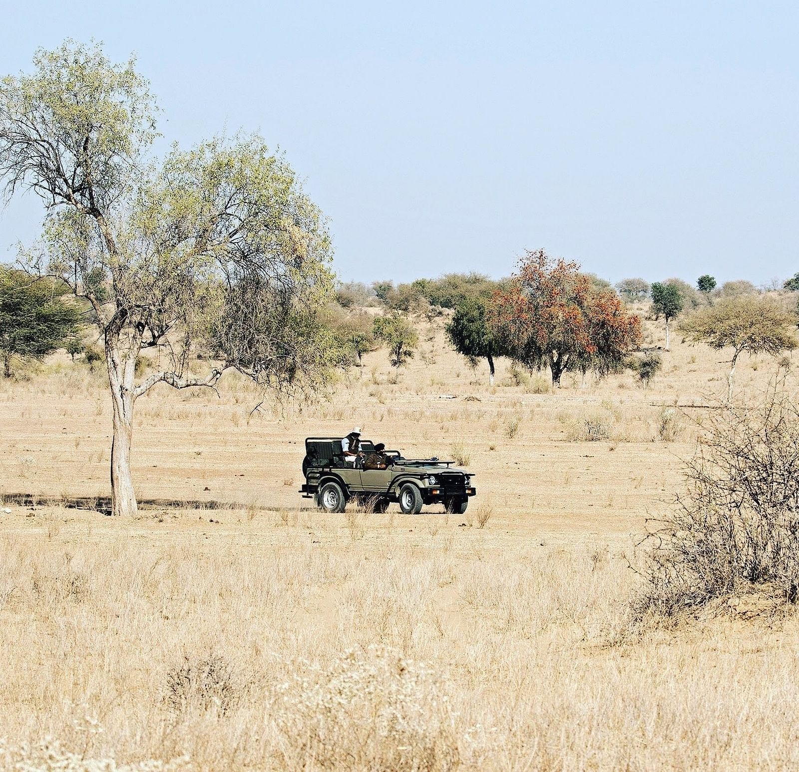 A safari jeep exploring the desert landscape at Manvar Resort & Desert Camp