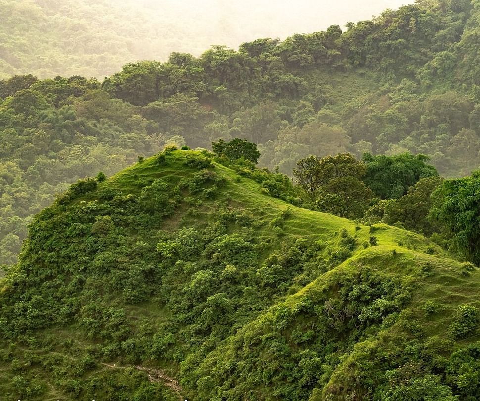 An overview of the eastern ghats with lush forest on mountains in view