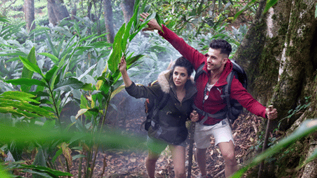 Couples trekking through the lush greenery of Munnar
