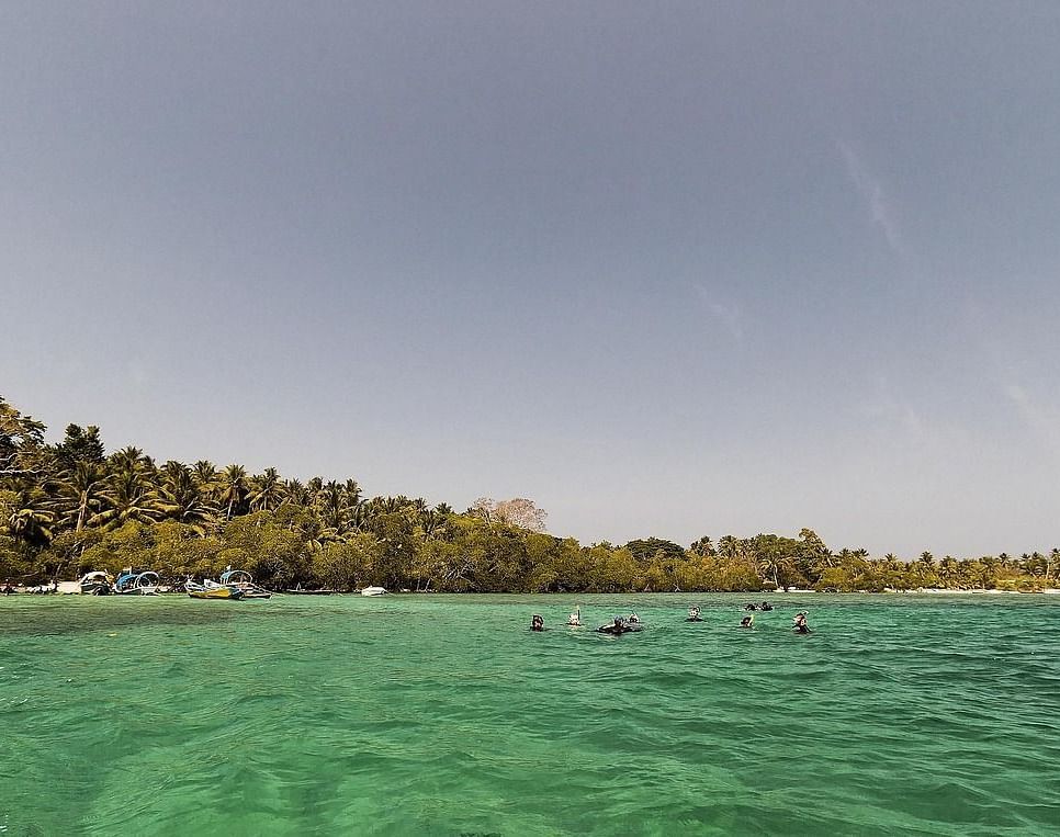 Calm green-blue sea with people swimming near a forested coastline under a hazy sky.