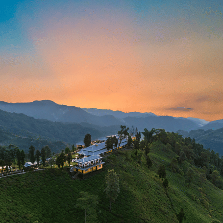 Aerial sunset view of MAYFAIR Manor, Jungpana nestled atop lush green rolling tea garden hills.