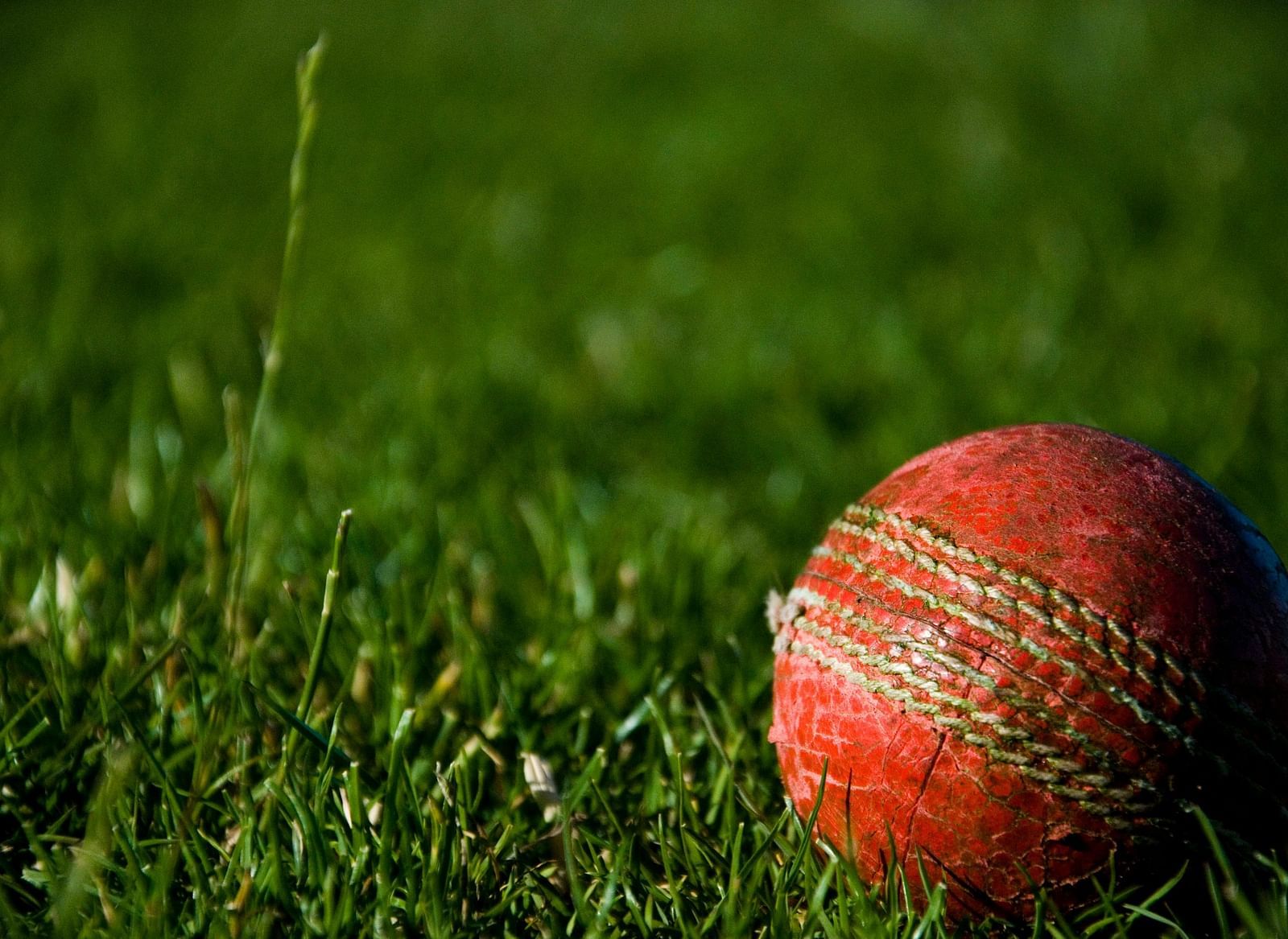 Close-up of a red cricket ball on green grass.