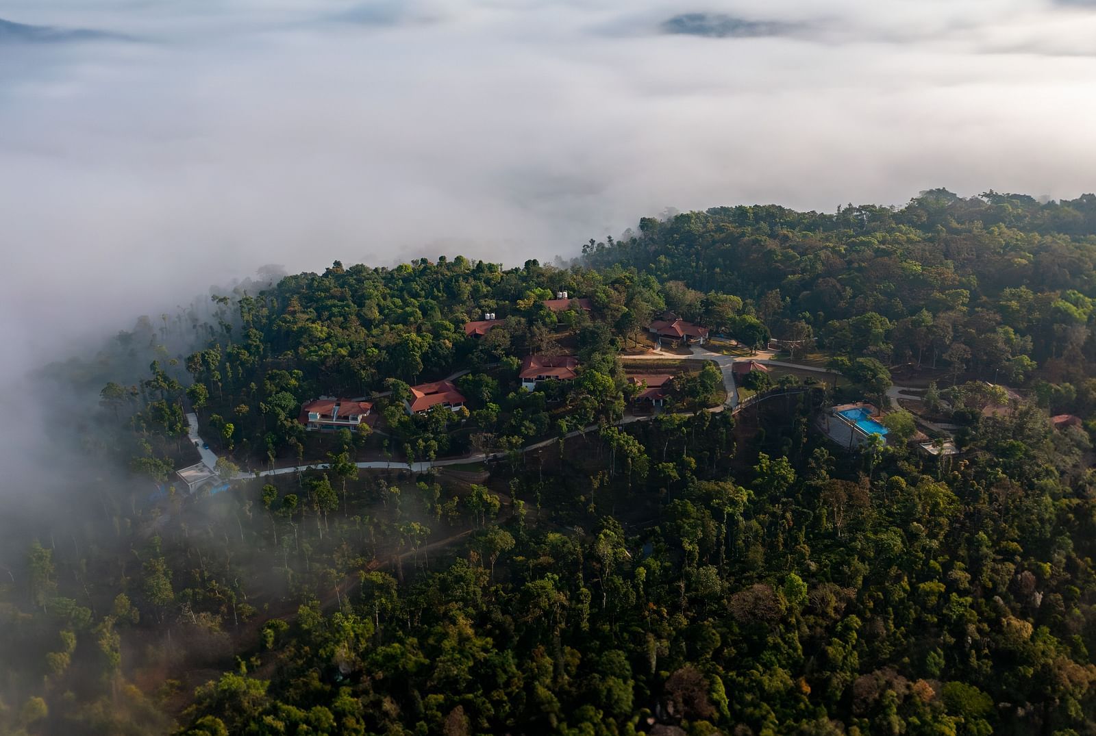 DJI 0481-Enhanced-NR