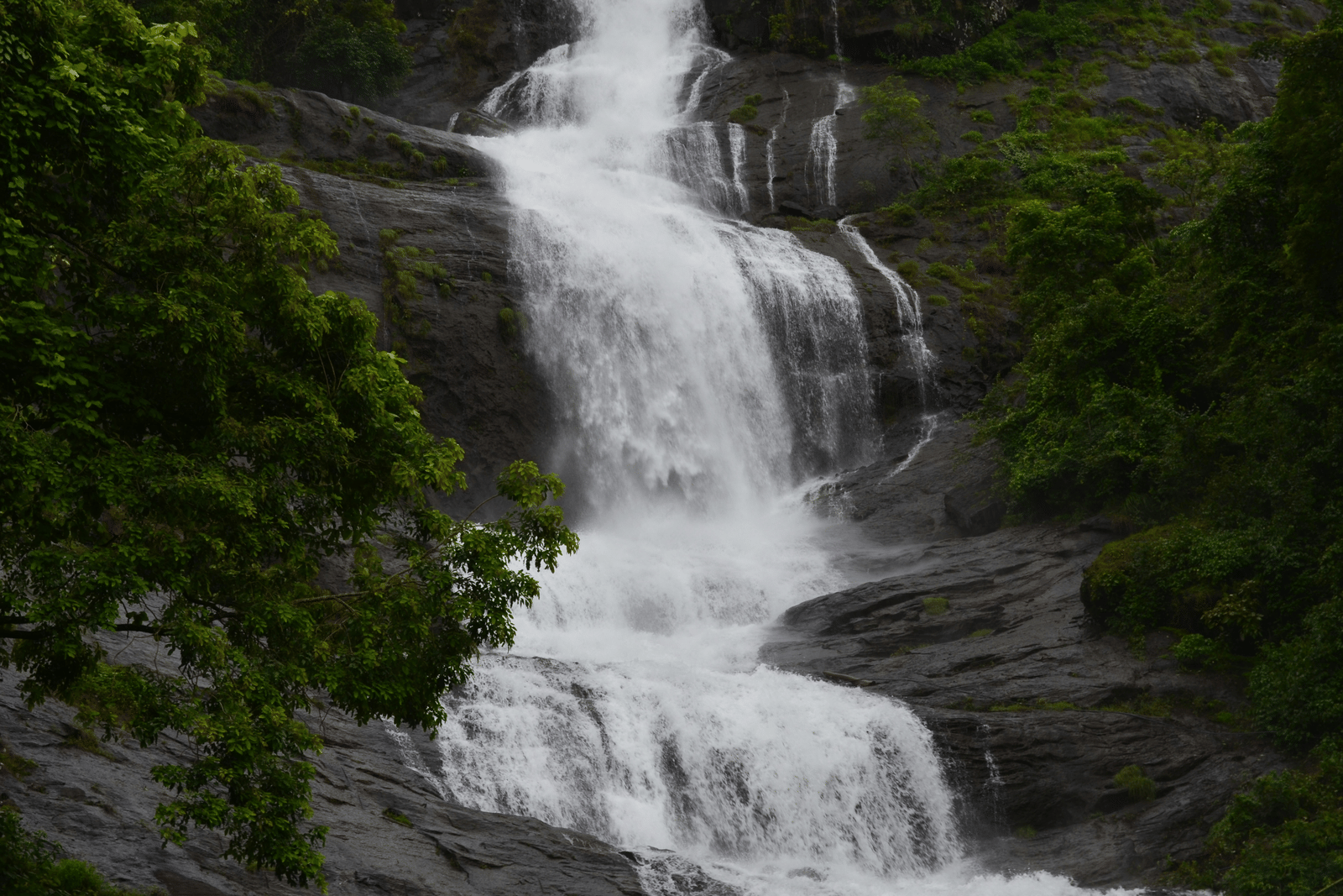A scenic view of a lush green forested hillside with a natural waterfall.