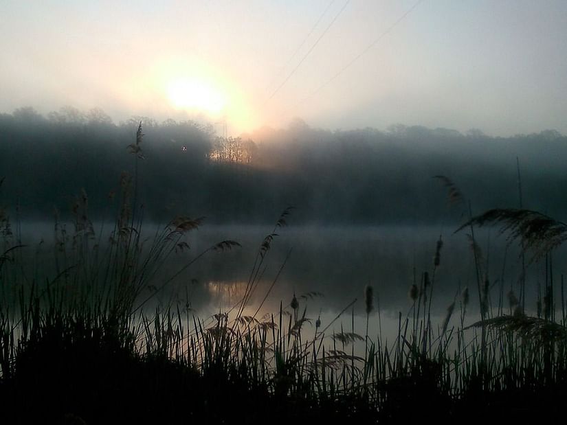 An overview of a lake with forest cover in the background during sunrise.
