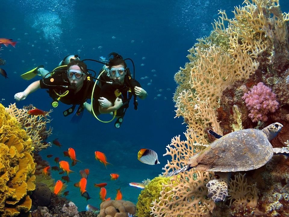 Scuba Diving