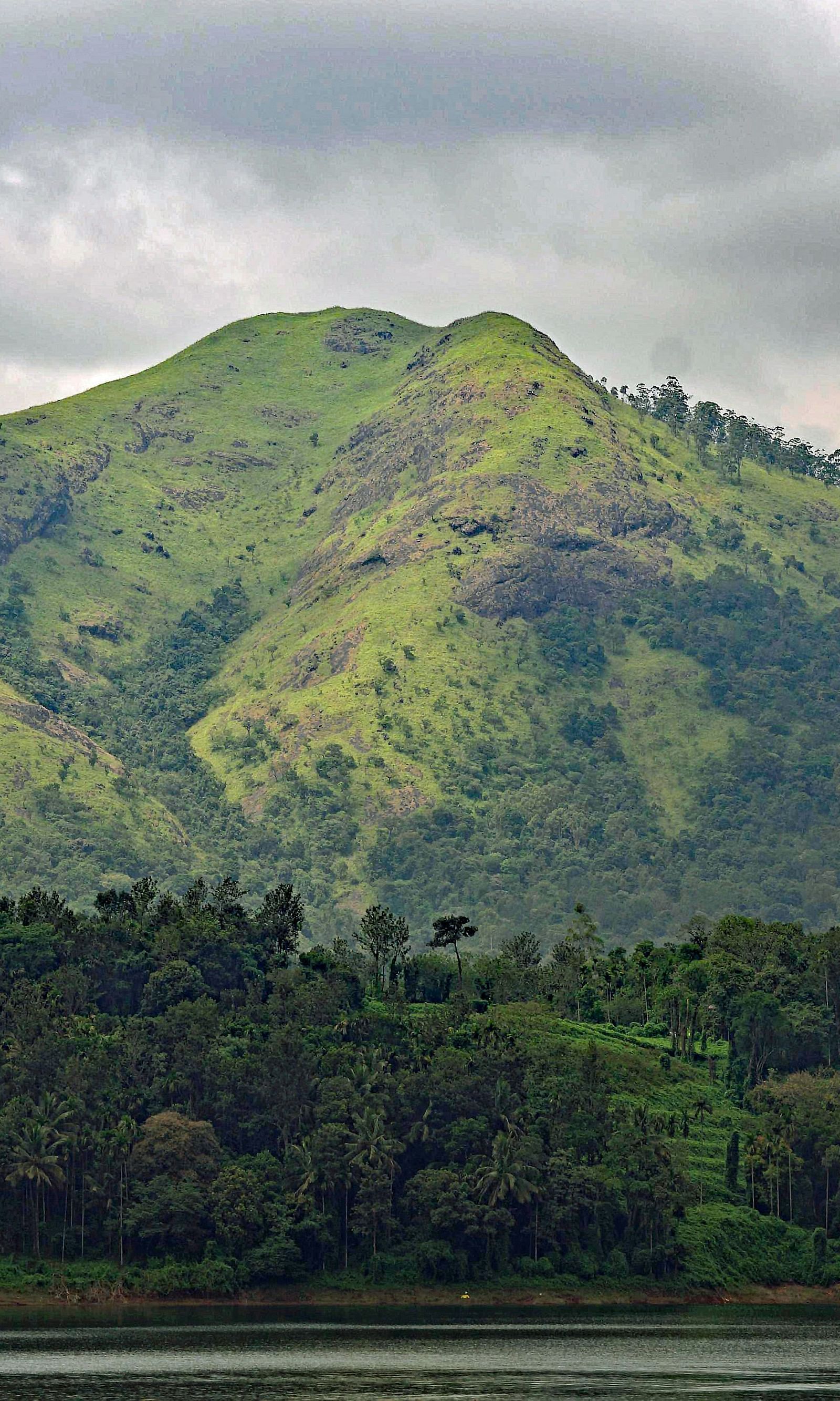 An image of a lush green mountain range in Wayanad