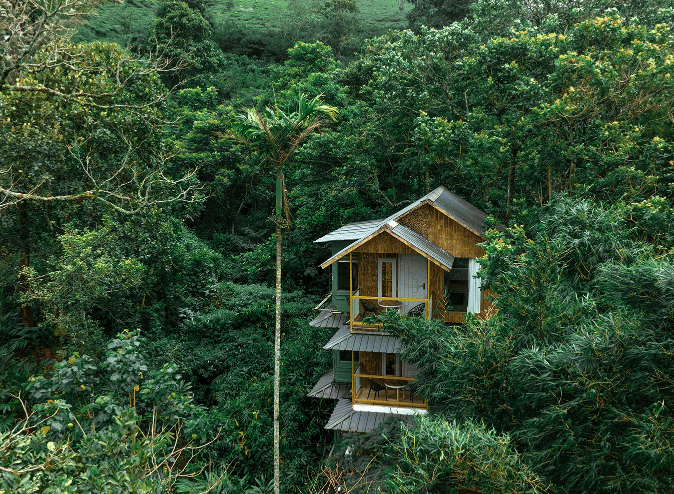 Parakkat Nature Resort | Luxury Resorts in Munnar