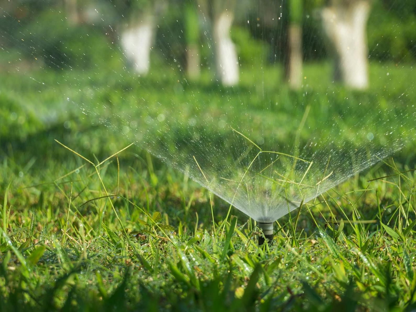 A water sprinkler spraying water and grass around.