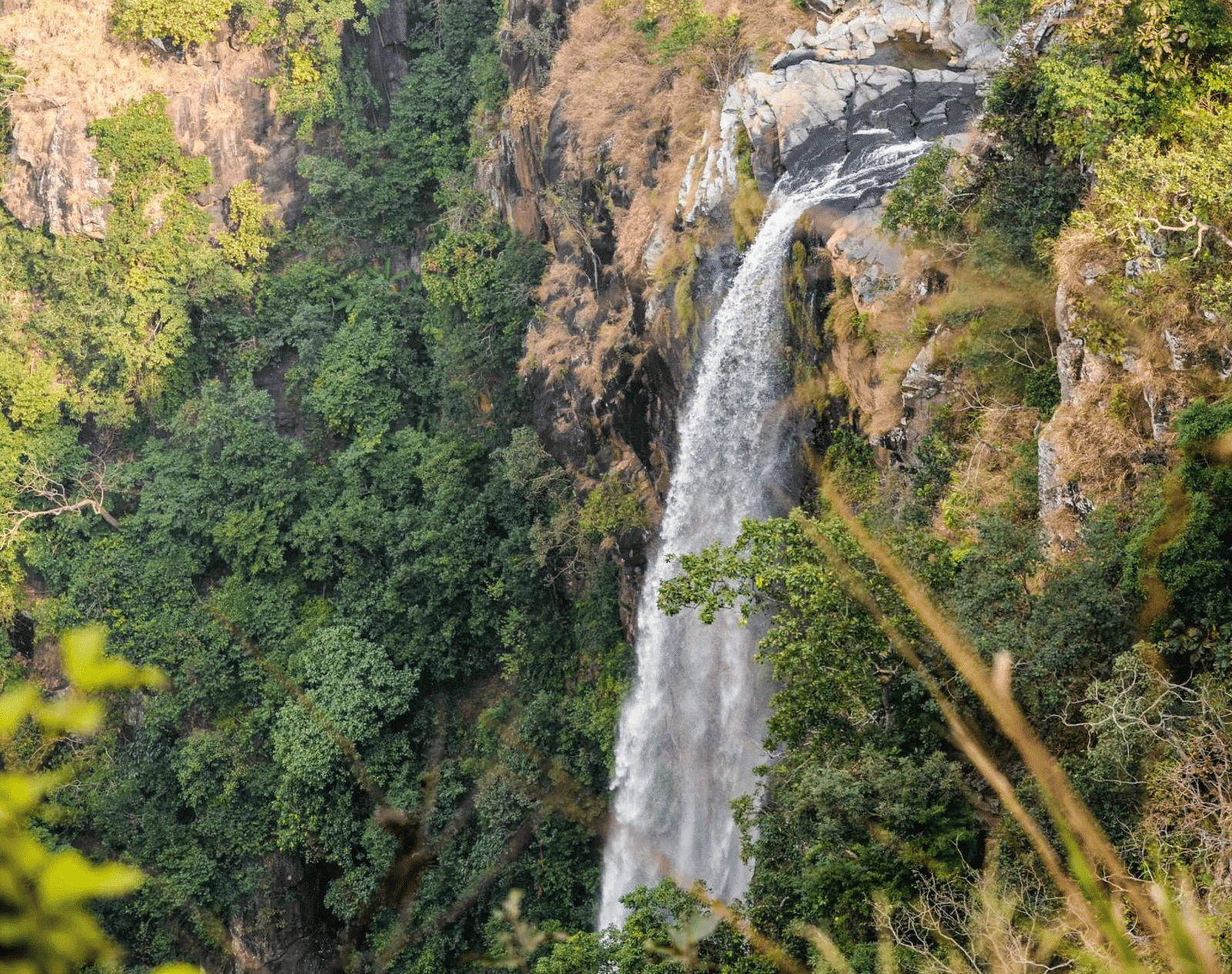 Joronda