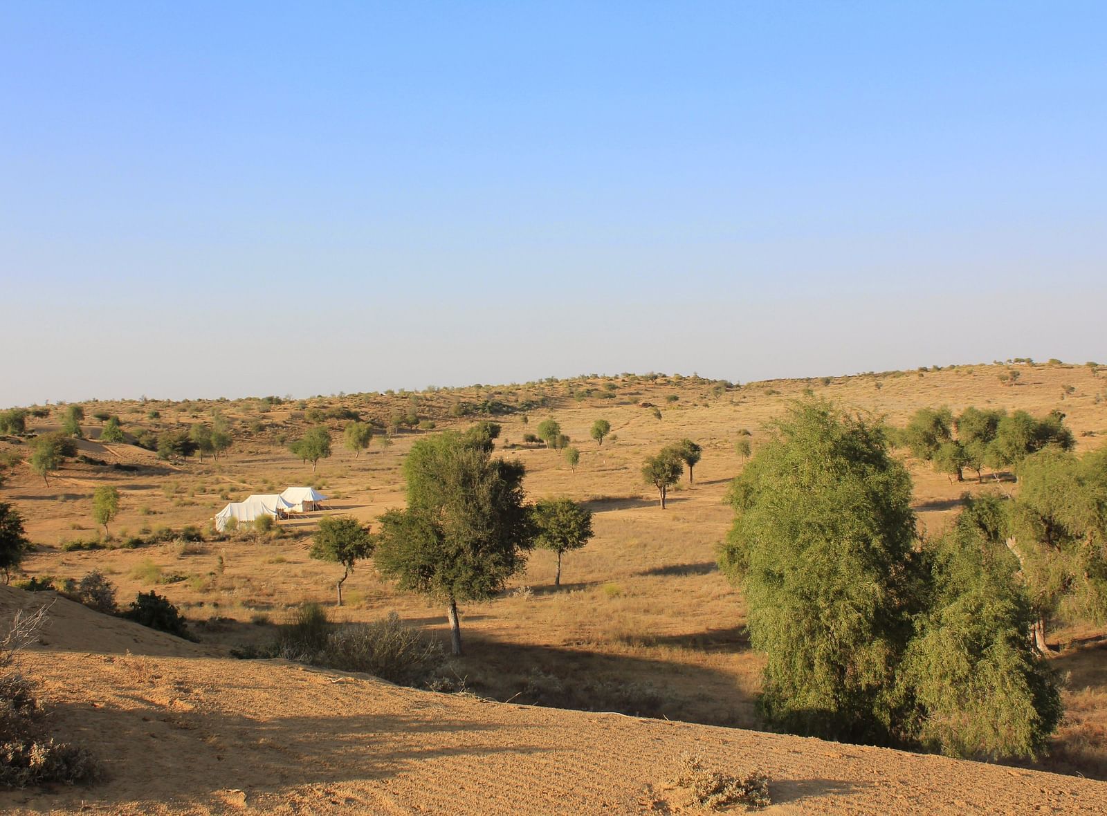 A panoramic view captures a single white tent amidst the desert's subtle hills and sparse greenery, offering a tranquil retreat.