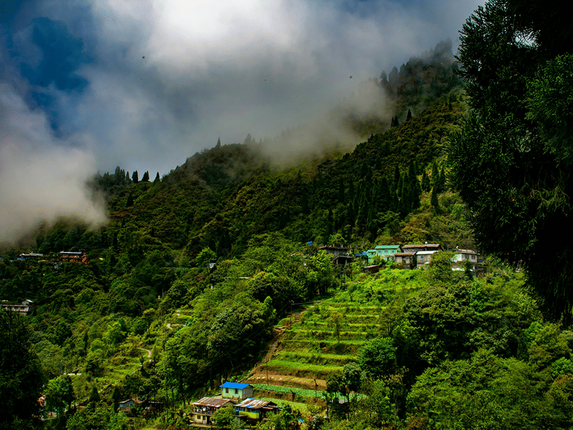 Lush green hills of Darjeeling in winter with mist-covered mountain slopes, terraced greenery, and houses nestled in the valley.