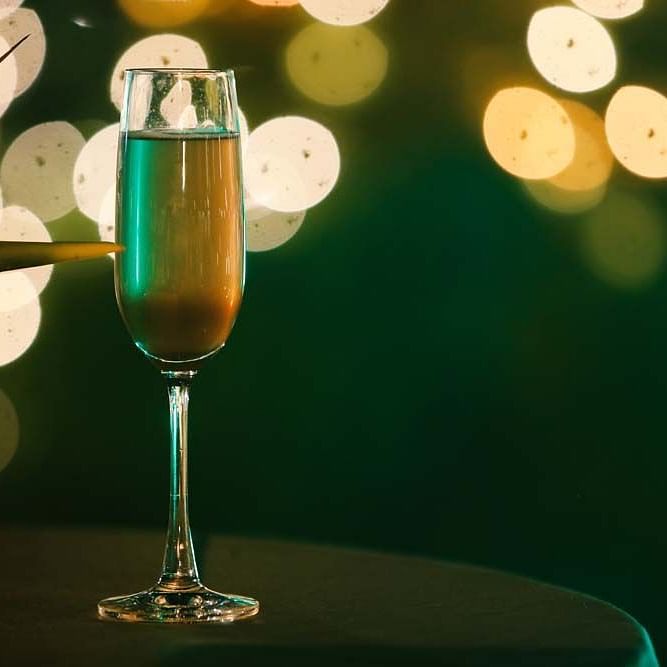 The Regent Park, The Bristol Hotel Gurgaon,Party Hall In Gurgaon 5443