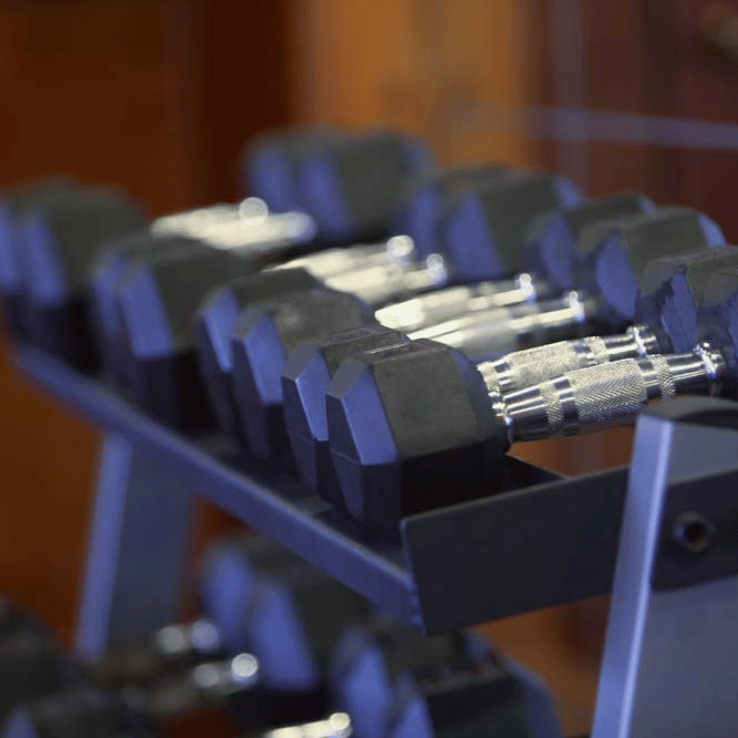 Close-up of black rubber-coated dumbbells with chrome handles racked in ascending sizes on a stand in the gym at The Bristol Hotel, Gurgaon.