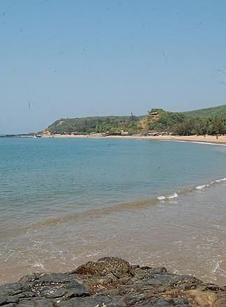 An overview of a beach's coastline with trees covering on the mountain - Gamyam Retreat