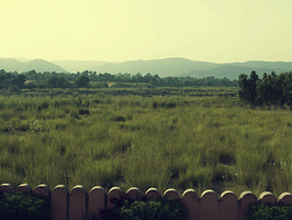 a panoramic view of the surrounding nature from the resort - Buena Vista Luxury Garden Spa Resort