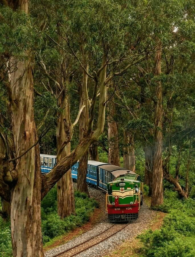 Nilgiri Mountains Railway