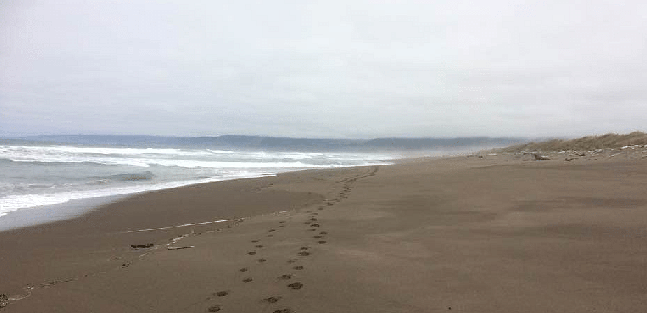 A quiet sandy beach with a trail of footprints leading toward the ocean under an overcast sky.