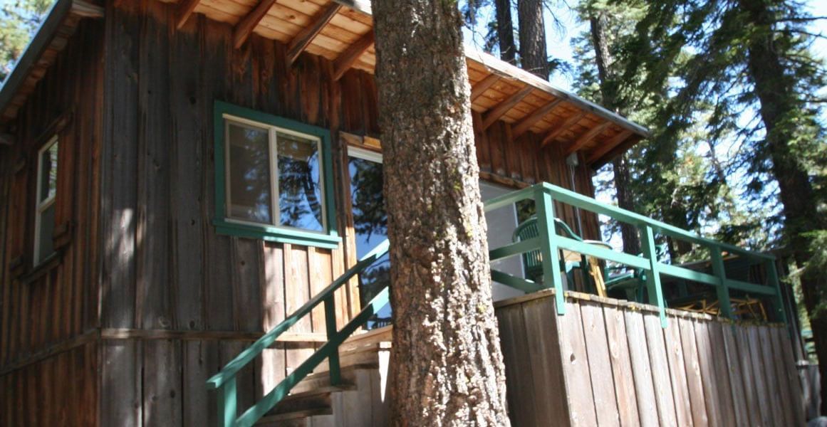 A rustic cabin with weathered wood siding and a trimmed window nestled amongst tall trees. - Kit Carson Lodge & Restaurant 