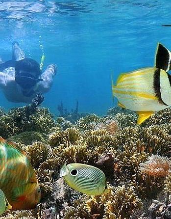 Snorkeling Activity