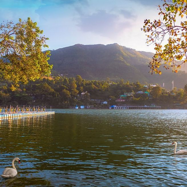 A wide angle view of the lake surrounded by mountains, with a swan swimming in the foreground and trees lining the shore, during the sunset hours.