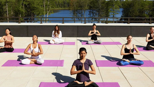 A diverse group of seven people sits in meditation poses on purple yoga mats outdoors, with trees and a lake in the background at YO1 Longevity & Health Resorts, Catskills