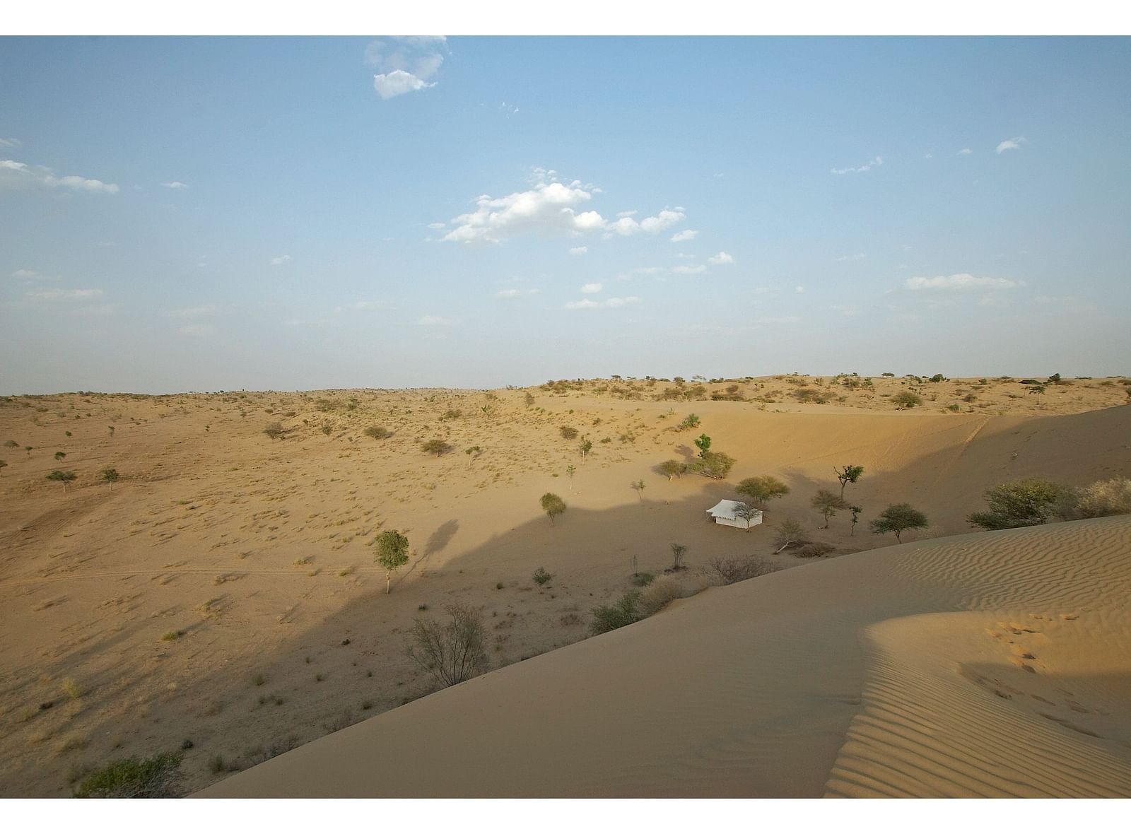Sweeping views of a vast desert landscape showcase undulating dunes under a broad sky, with a trail inviting exploration