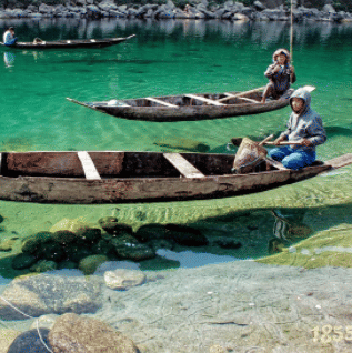 dawkis cruising through a lake